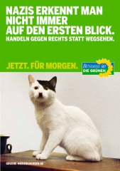 208243_plakat_katze-med.jpg