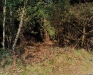 Camouflage: Sniper under the twigs and branches on the left, 90x110cm (© Simon Menner)